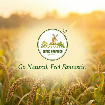 Grano Organico Premium Barnyard Millet (Sanwa/Jhangora) | Organic, Chemical & Pesticide Free