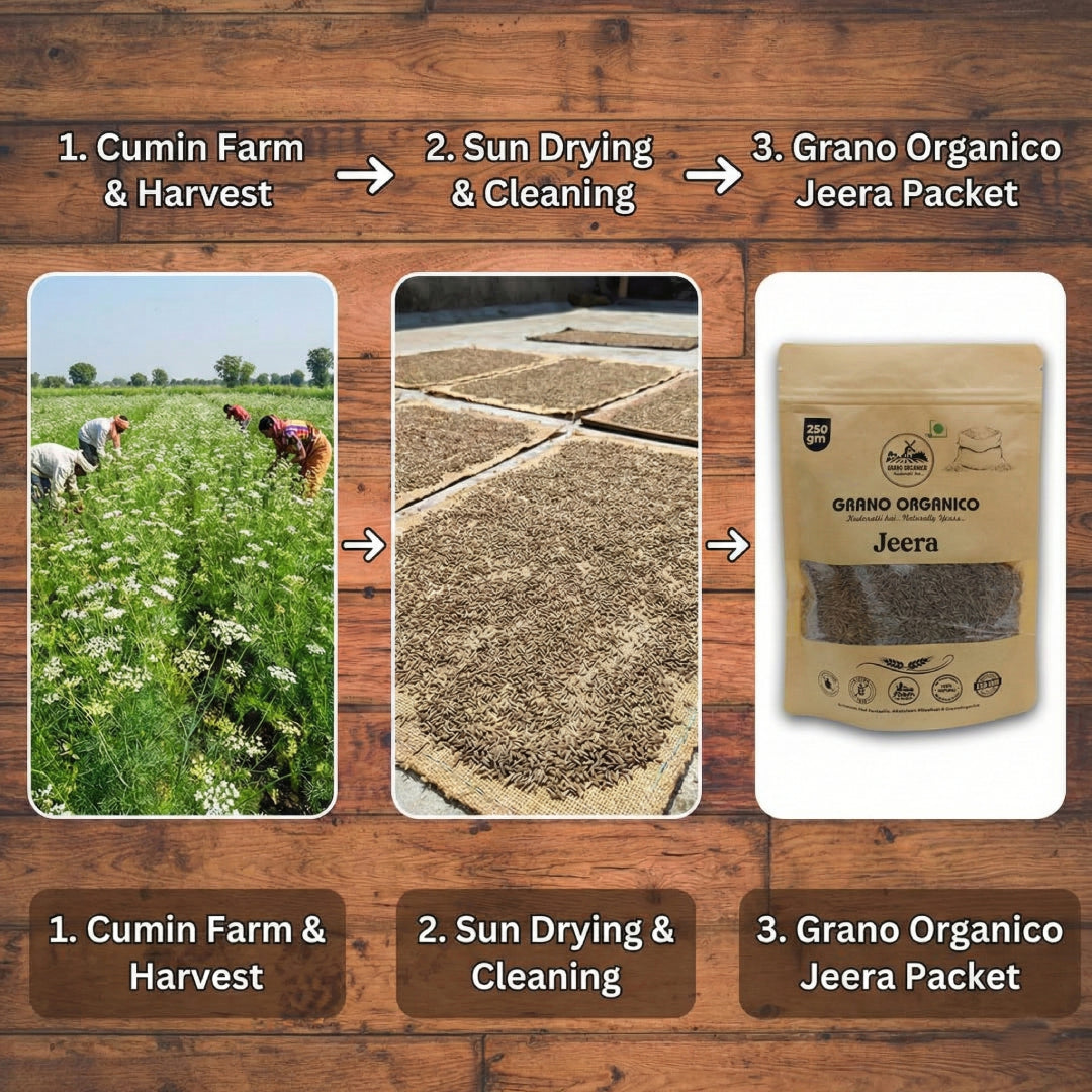 Grano Organico Rajasthani Jeera (Cumin Seeds) | 100% Chemical Free & Organic