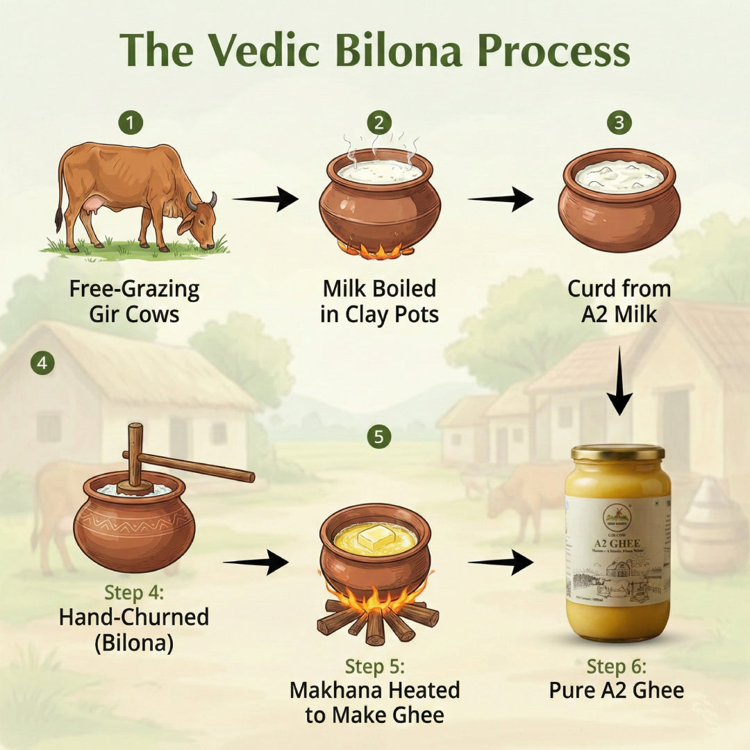 Grano Organico A2 Gir Cow Ghee | Vedic Bilona Method | Organic & Hand-Churned | Gujarat Special