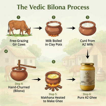 Grano Organico A2 Gir Cow Ghee | Vedic Bilona Method | Organic & Hand-Churned | Gujarat Special