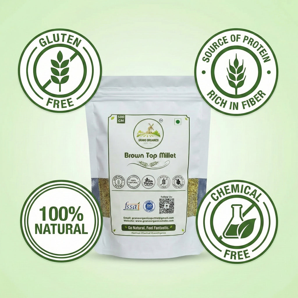 Grano Organico Premium Brown Top Millet (Hari Kangni) | Organic, Chemical & Pesticide Free