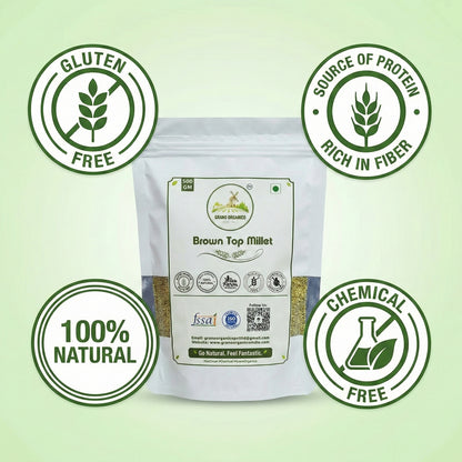 Grano Organico Premium Brown Top Millet (Hari Kangni) | Organic, Chemical & Pesticide Free