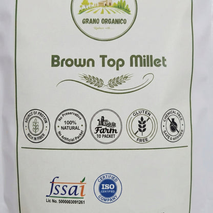 Grano Organico Premium Brown Top Millet (Hari Kangni) | Organic, Chemical & Pesticide Free