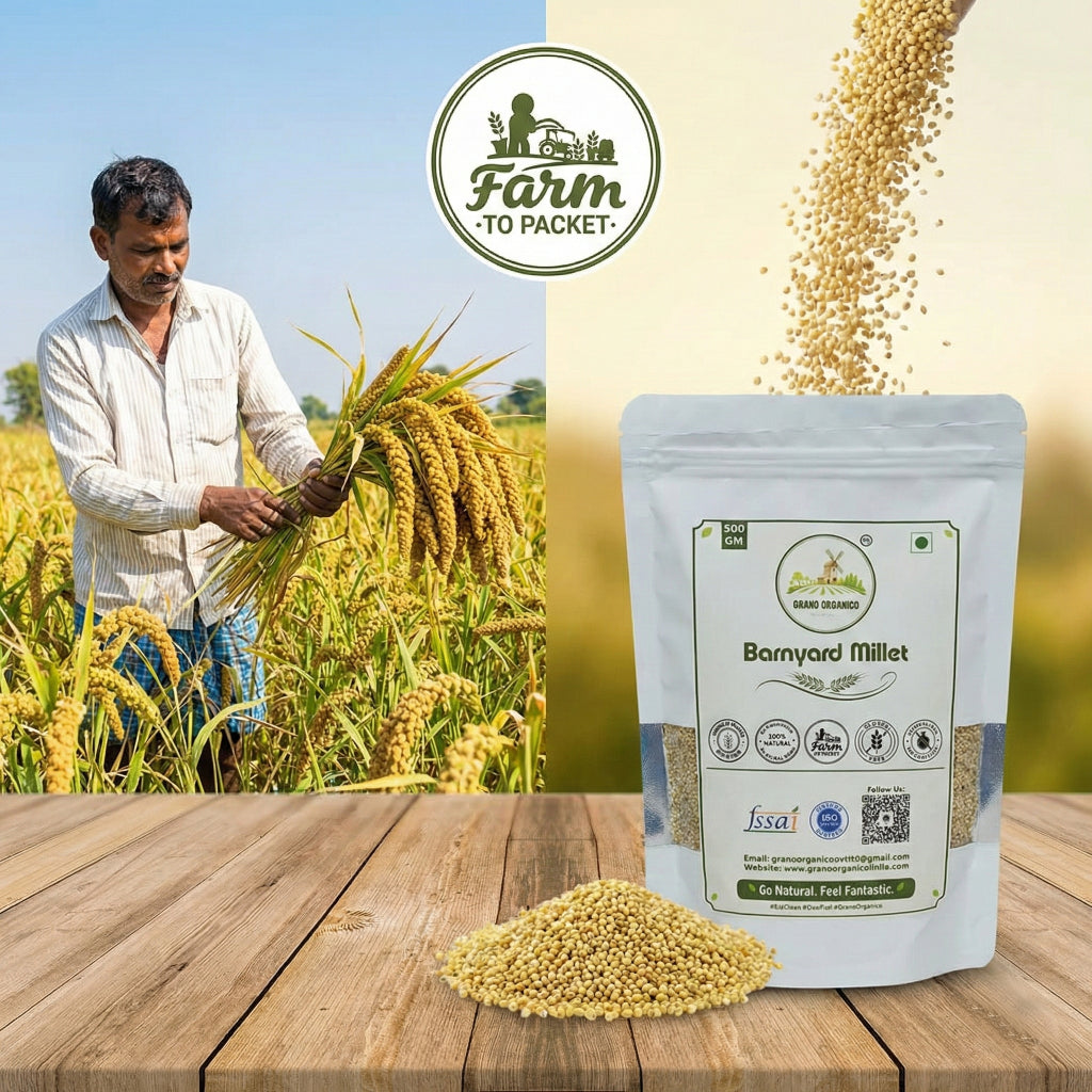 Grano Organico Premium Barnyard Millet (Sanwa/Jhangora) | Organic, Chemical & Pesticide Free