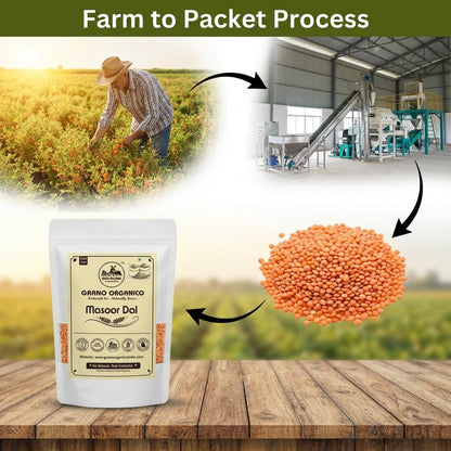 Grano Organico Premium Masoor Dal (Split Red Lentils) | Unpolished, Protein-Rich & Chemical-Free