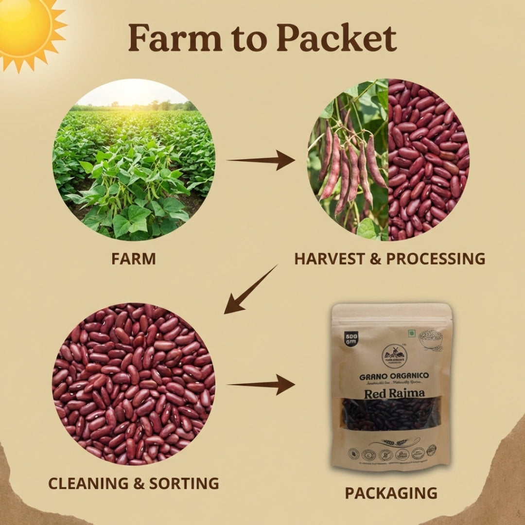 Grano Organico Premium Red Rajma (Kidney Beans) | Unpolished & Chemical Free