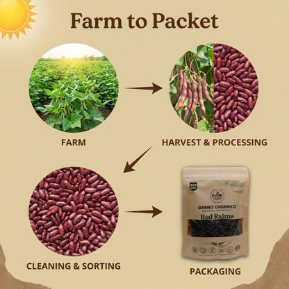 Grano Organico Premium Red Rajma (Kidney Beans) | Unpolished & Chemical Free