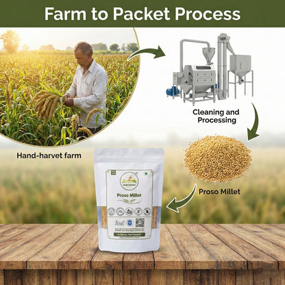 Grano Organico Premium Proso Millet (Chena/Barri) | Organic, Chemical & Pesticide Free