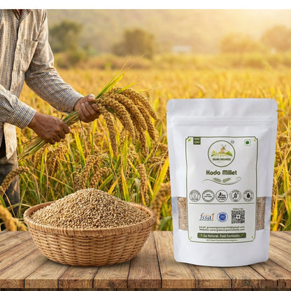 Grano Organico Premium Kodo Millet (Varagu/Kodra) | Organic, Chemical & Pesticide Free