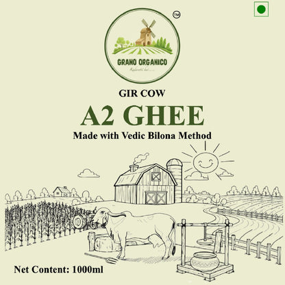Grano Organico A2 Gir Cow Ghee | Vedic Bilona Method | Organic & Hand-Churned | Gujarat Special