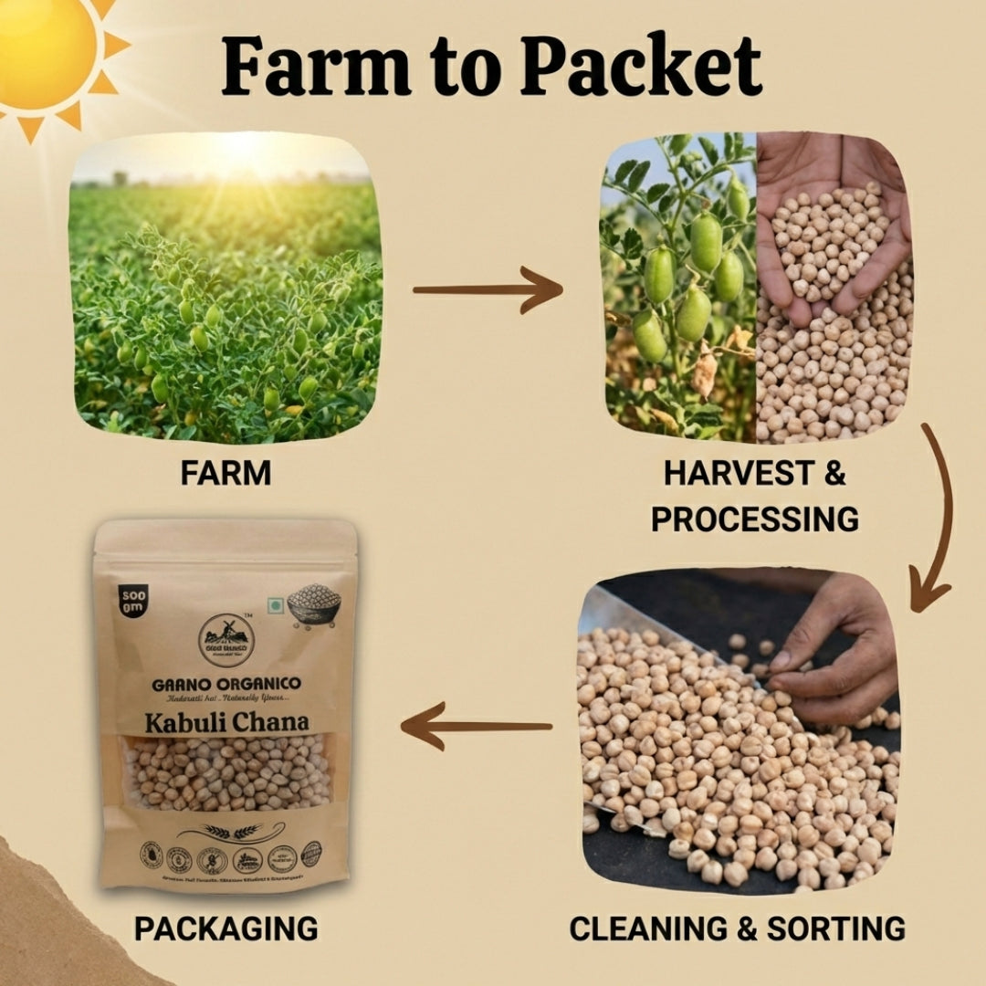 Grano Organico Premium Kabuli Chana (White Chickpeas) | Unpolished & Chemical Free