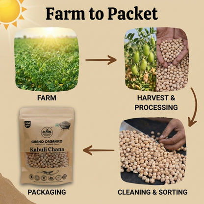Grano Organico Premium Kabuli Chana (White Chickpeas) | Unpolished & Chemical Free
