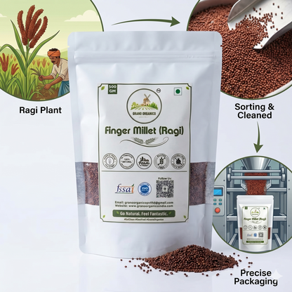 Grano Organico Premium Finger Millet (Ragi/Nachni) | Organic, Chemical & Pesticide Free